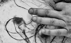 Delphine MARTINEZ Feutrière Teinturière, le Mouton à Roulettes, à Le Val 83